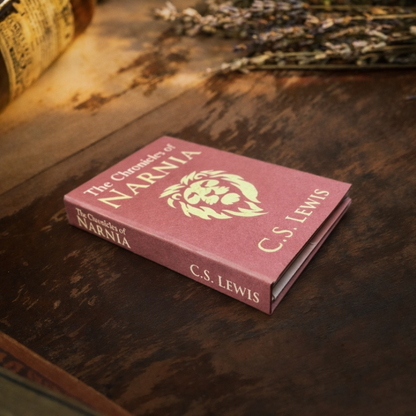 Portefeuille style livre